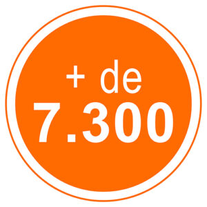 Mais de 7.300 Horas/Aulas Já Ministradas